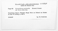 Image Associated With the Occurence